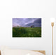 Prairie Wildflowers And An Old Farm Granary Under A Summer Storm Wall Mural