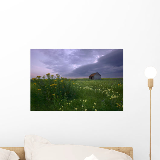 Prairie Wildflowers And An Old Farm Granary Under A Summer Storm Wall Mural
