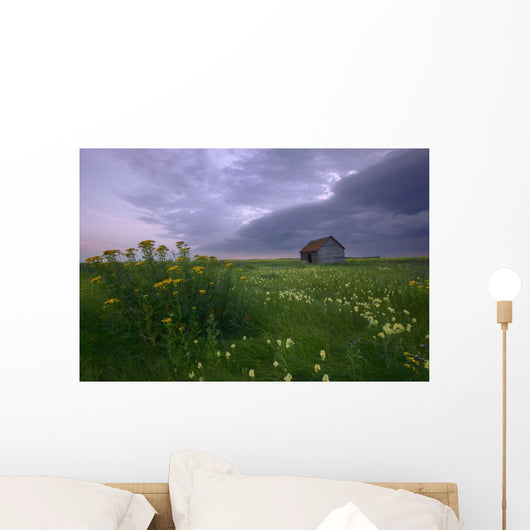 Prairie Wildflowers And An Old Farm Granary Under A Summer Storm Wall Mural