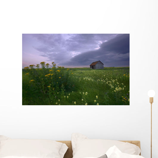 Prairie Wildflowers And An Old Farm Granary Under A Summer Storm Wall Mural