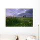 Prairie Wildflowers And An Old Farm Granary Under A Summer Storm Wall Mural