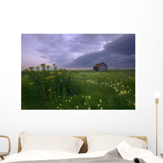 Prairie Wildflowers And An Old Farm Granary Under A Summer Storm Wall Mural