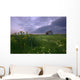 Prairie Wildflowers And An Old Farm Granary Under A Summer Storm Wall Mural