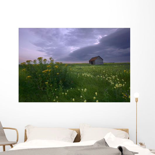 Prairie Wildflowers And An Old Farm Granary Under A Summer Storm Wall Mural