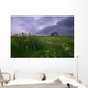Prairie Wildflowers And An Old Farm Granary Under A Summer Storm Wall Mural