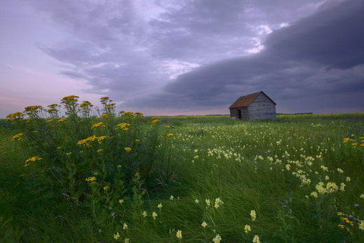Prairie Wildflowers And An Old Farm Granary Under A Summer Storm Wall Mural