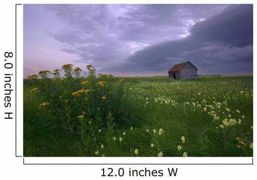 Prairie Wildflowers And An Old Farm Granary Under A Summer Storm Wall Mural
