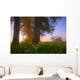 Sunrise Streaming Through Foggy Trees On A Farm During The Summer Wall Mural