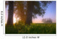 Sunrise Streaming Through Foggy Trees On A Farm During The Summer Wall Mural