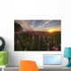 Prairie Wildflowers During Sunset In Central Alberta Wall Mural