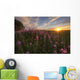Prairie Wildflowers During Sunset In Central Alberta Wall Mural