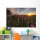 Prairie Wildflowers During Sunset In Central Alberta Wall Mural