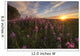 Prairie Wildflowers During Sunset In Central Alberta Wall Mural