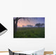 Wildflowers On A Foggy Pasture In Central Alberta Wall Mural