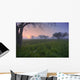 Wildflowers On A Foggy Pasture In Central Alberta Wall Mural