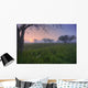 Wildflowers On A Foggy Pasture In Central Alberta Wall Mural