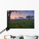 Wildflowers On A Foggy Pasture In Central Alberta Wall Mural