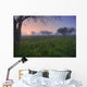Wildflowers On A Foggy Pasture In Central Alberta Wall Mural
