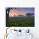Wildflowers On A Foggy Pasture In Central Alberta Wall Mural