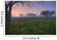 Wildflowers On A Foggy Pasture In Central Alberta Wall Mural