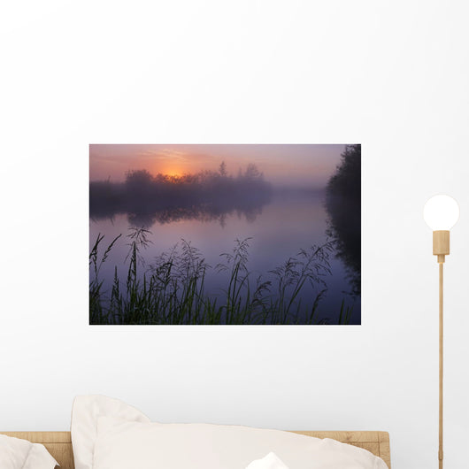 A Foggy Summer Sunrise On A Prairie Pond In Central Alberta Wall Mural