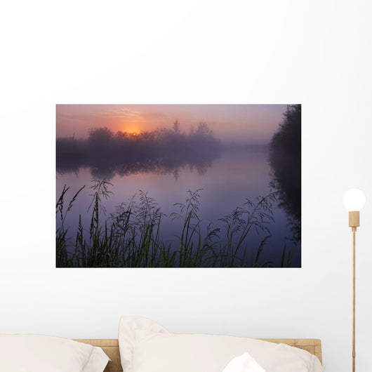 A Foggy Summer Sunrise On A Prairie Pond In Central Alberta Wall Mural