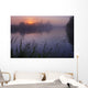 A Foggy Summer Sunrise On A Prairie Pond In Central Alberta Wall Mural