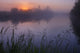 A Foggy Summer Sunrise On A Prairie Pond In Central Alberta Wall Mural