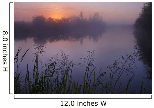 A Foggy Summer Sunrise On A Prairie Pond In Central Alberta Wall Mural