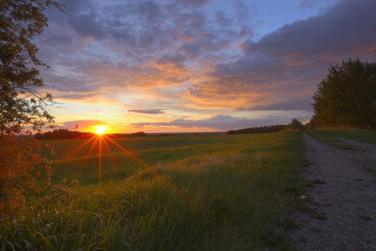 Sunset On The Rolling Hills Of The Prairies Of Alberta Wall Mural