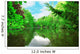 Trees around Lake
