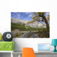 An Autumn Afternoon Above Medicine Lake Wall Mural