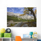 An Autumn Afternoon Above Medicine Lake Wall Mural