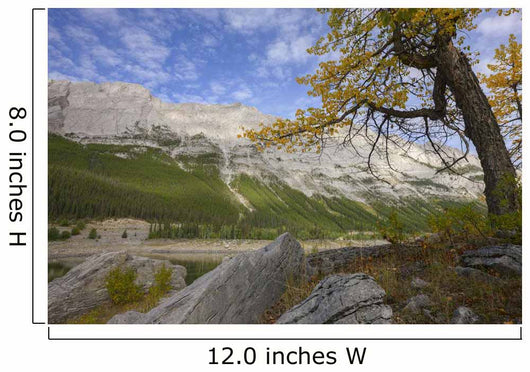 An Autumn Afternoon Above Medicine Lake Wall Mural
