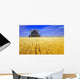 Abandoned Farmhouse In Wind-Blown Durum Wheat Field Wall Mural