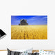 Abandoned Farmhouse In Wind-Blown Durum Wheat Field Wall Mural