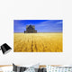 Abandoned Farmhouse In Wind-Blown Durum Wheat Field Wall Mural
