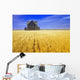 Abandoned Farmhouse In Wind-Blown Durum Wheat Field Wall Mural