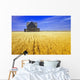 Abandoned Farmhouse In Wind-Blown Durum Wheat Field Wall Mural