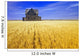 Abandoned Farmhouse In Wind-Blown Durum Wheat Field Wall Mural