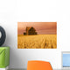 Saskatchewan Wall Mural