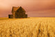 Saskatchewan Wall Mural