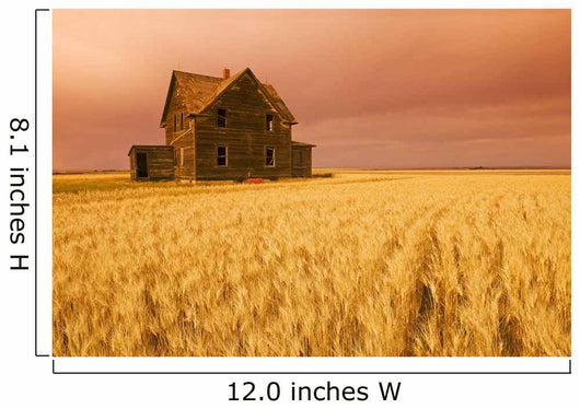 Saskatchewan Wall Mural