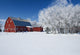 Red Barn, Winter, Grande Pointe, Manitoba, Canada Wall Mural