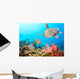 Butterflyfishes and Turtle Wall Mural