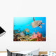Butterflyfishes and Turtle Wall Mural