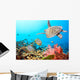 Butterflyfishes and Turtle Wall Mural