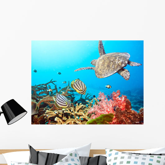 Butterflyfishes and Turtle Wall Mural