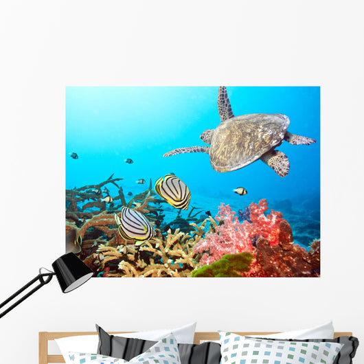 Butterflyfishes and Turtle Wall Mural