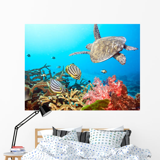 Butterflyfishes and Turtle Wall Mural